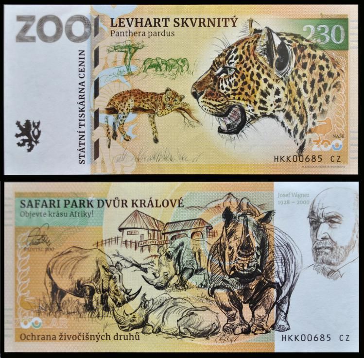 230 - Lampart plamisty - ZOO Dvur Kralove nad Labem (2023)