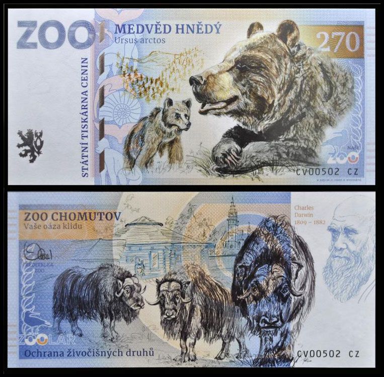 270 - Niedźwiedź brunatny - ZOO Chomutov (2023)