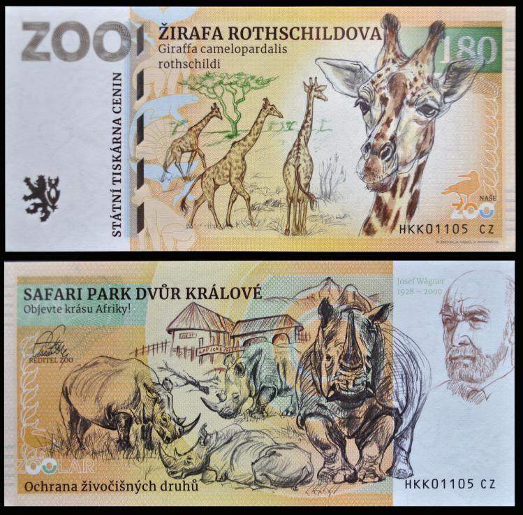 180 - Żyrafa ugandyjska - ZOO Dvur Kralove nad Labem (2022)