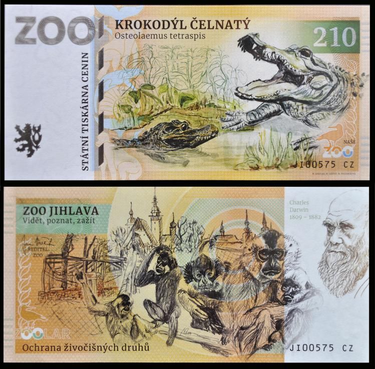 210 - Krokodyl krótkopyski - ZOO Jihlava (2023)