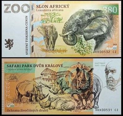 380 - Słoń afrykański - ZOO Dvur Kralove nad Labem (2024)