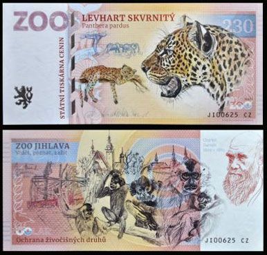 230 - Lampart plamisty - ZOO Jihlava (2023)