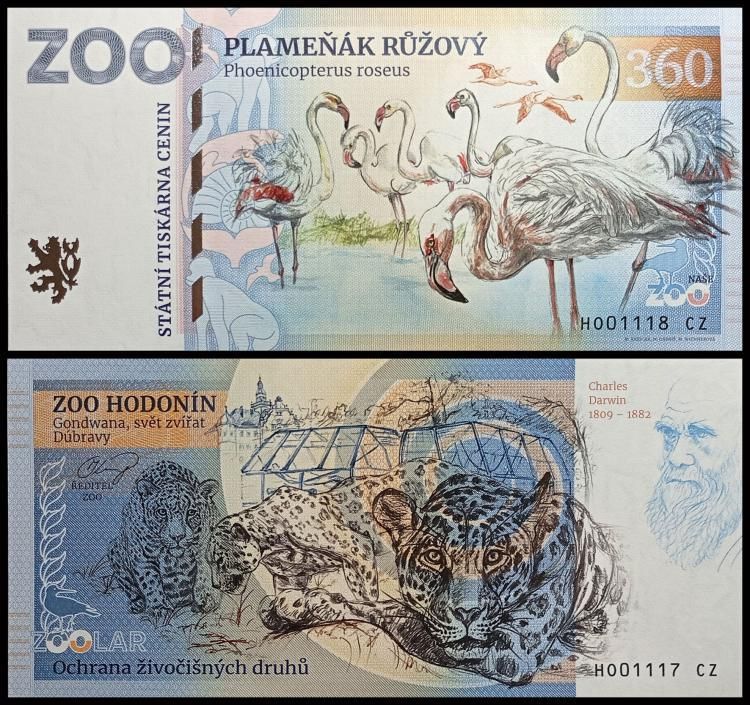 360 - Flaming - ZOO Hodonin (2024)