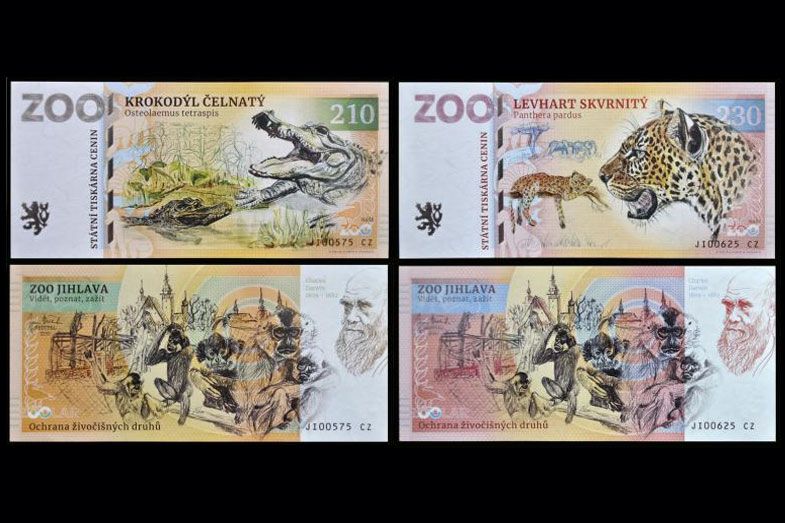ZOO Jihlava - zestaw (2023)
