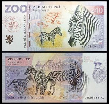 240 - Zebra stepowa - ZOO Liberec (2024) + nadruk 120 lat ZOO Liberec