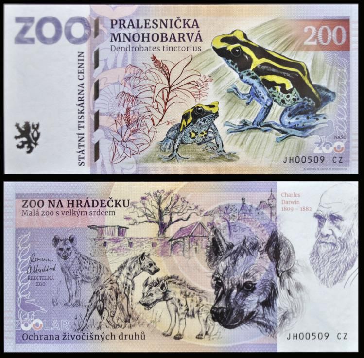 200 - Drzewołaz malarski - ZOO Na Hradecku (2023)