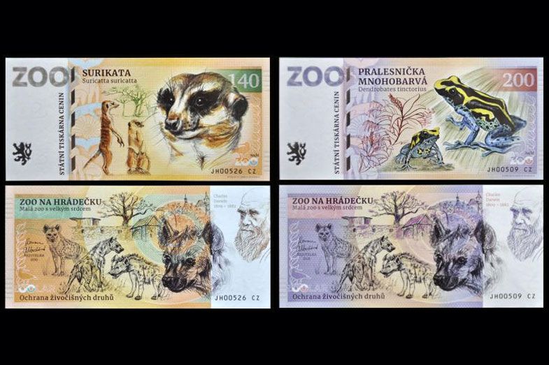 ZOO Na Hradecku - zestaw (2023)