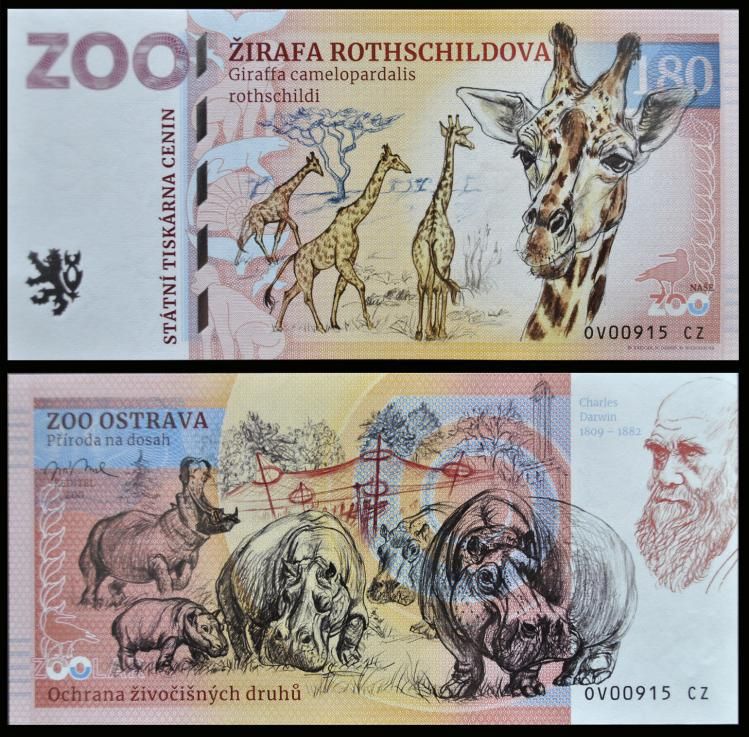 180 - Żyrafa ugandyjska - ZOO Ostrava (2023)