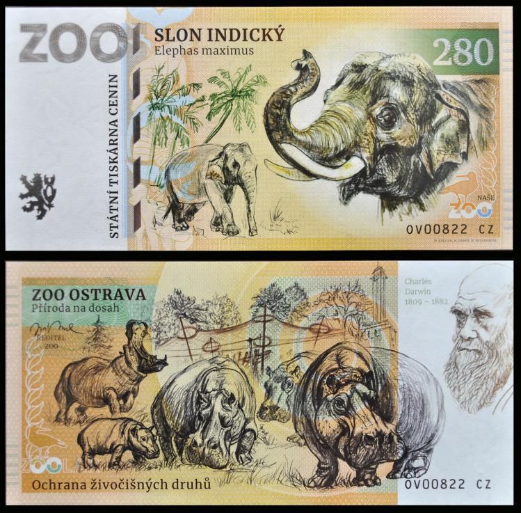 280 - Słoń indyjski - ZOO Ostrava (2023)