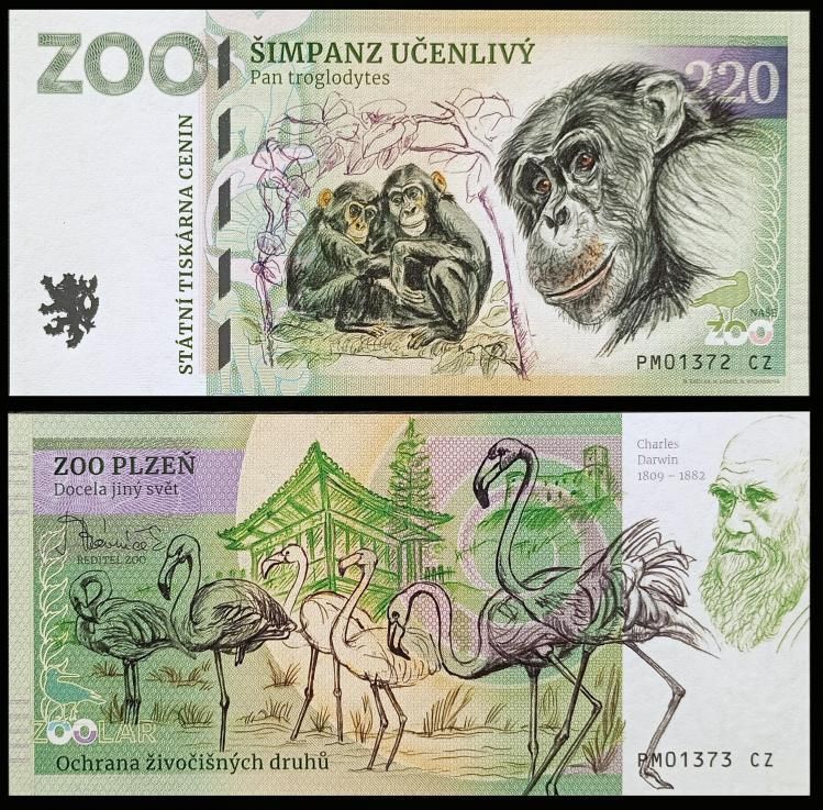 220 - Szympans zwyczajny - ZOO Plzen (2024)