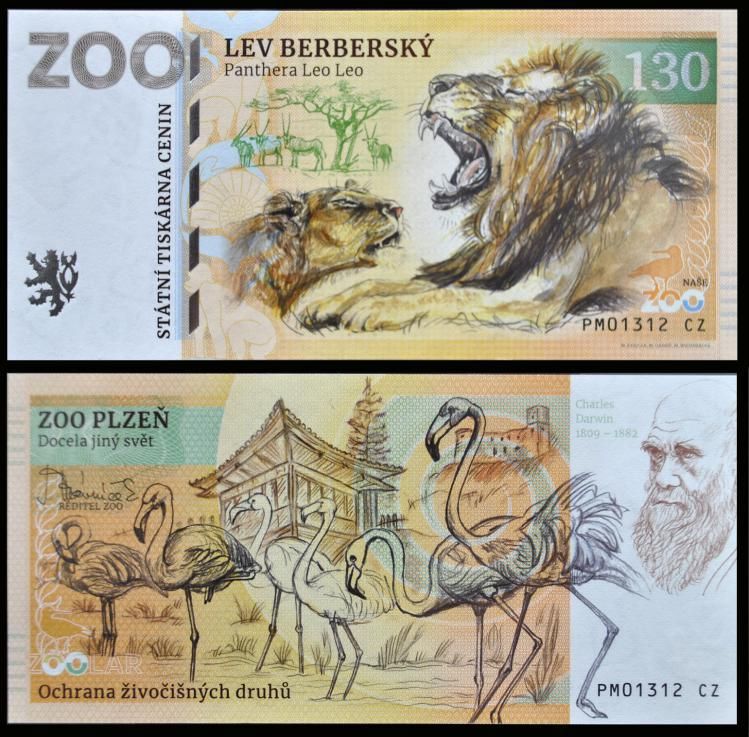 130 - Lew berberyjski - ZOO Plzen (2022) - wariant I - &quot;Leo Leo&quot;