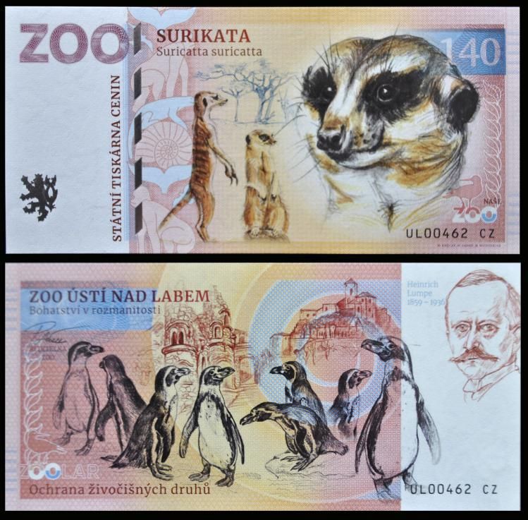 140 - Surykatka szara - ZOO Usti nad Labem (2023)