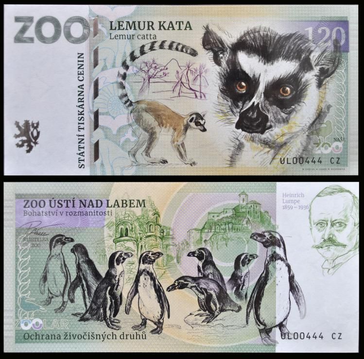 120 - Lemur katta - ZOO Usti nad Labem (2023)