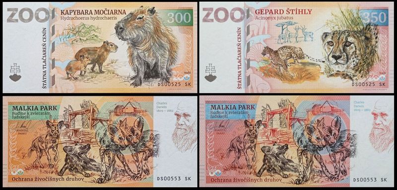 ZOO Malkia Park - zestaw (2024)