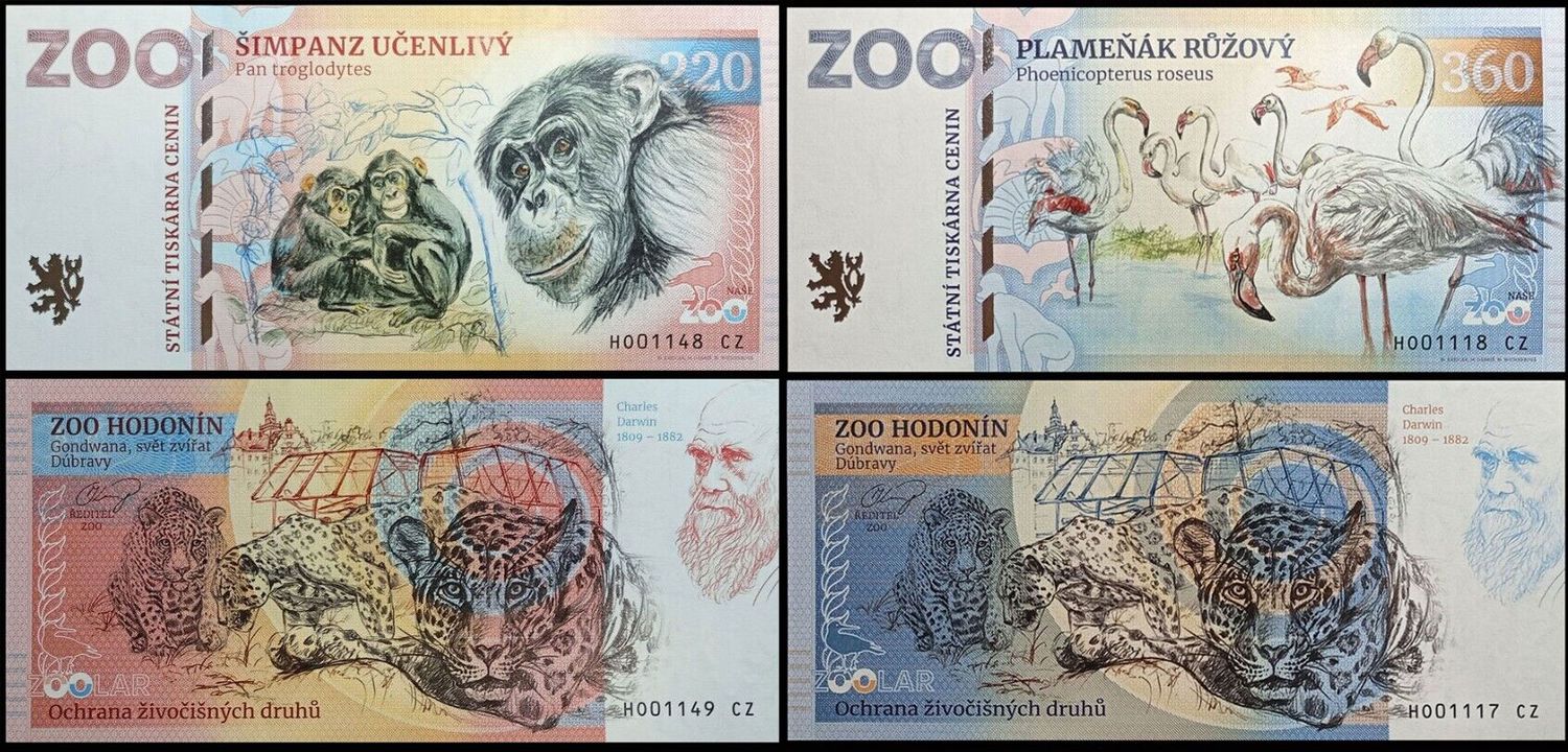 ZOO  Hodonin - zestaw (2024)
