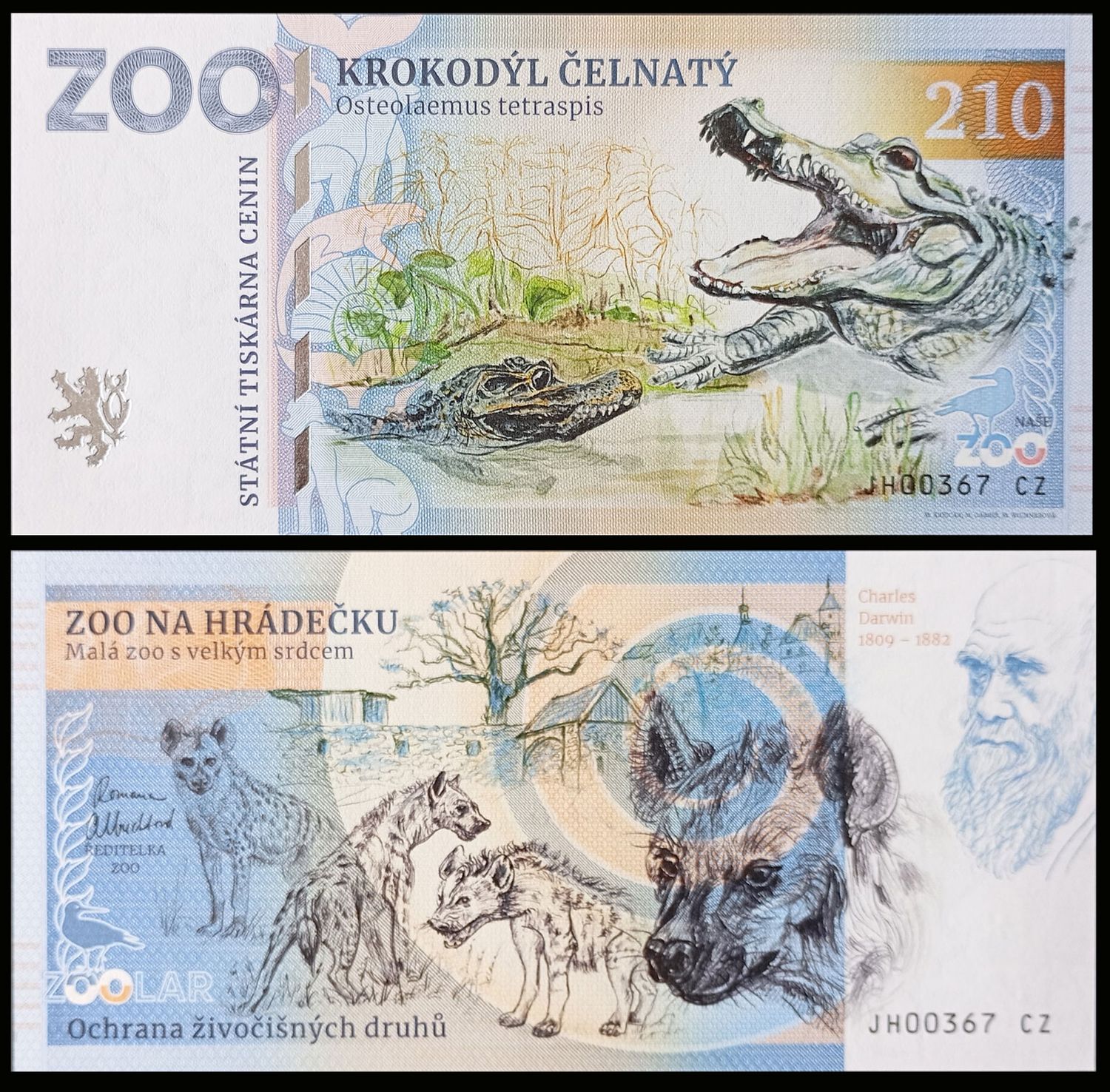 210 - Krokodyl krótkopyski - ZOO Na Hradecku (2024)