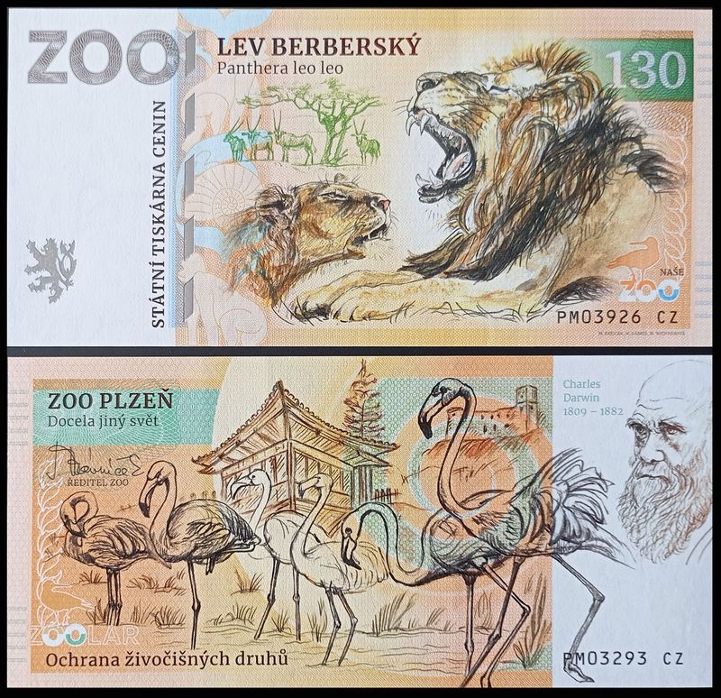 130 - Lew berberyjski - ZOO Plzen (202?) - wariant II - &quot;leo leo&quot;