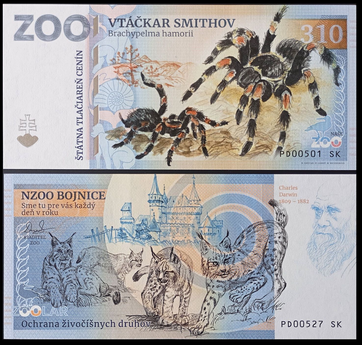 310 - Ptasznik - ZOO Bojnice (2024)
