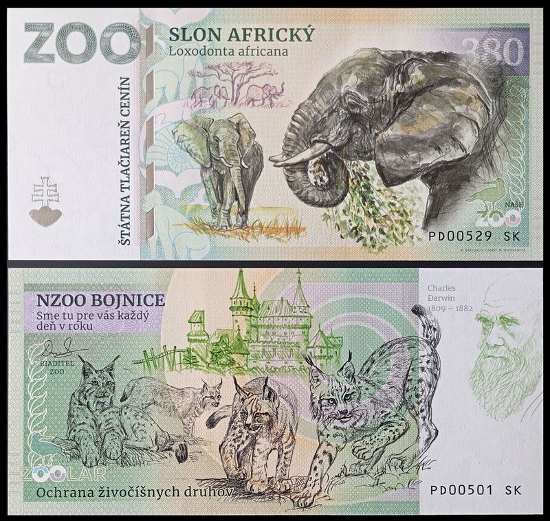 380 - Słoń afrykański - ZOO Bojnice (2024)
