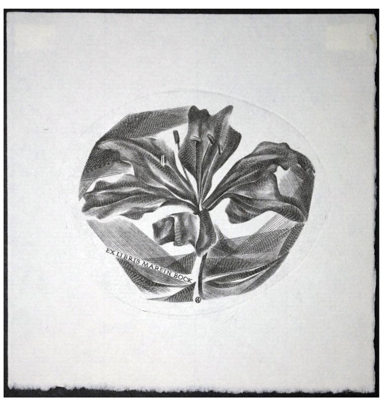 Jakubowski Wojciech (391/1972) Exlibris Marein Bock (Eb)