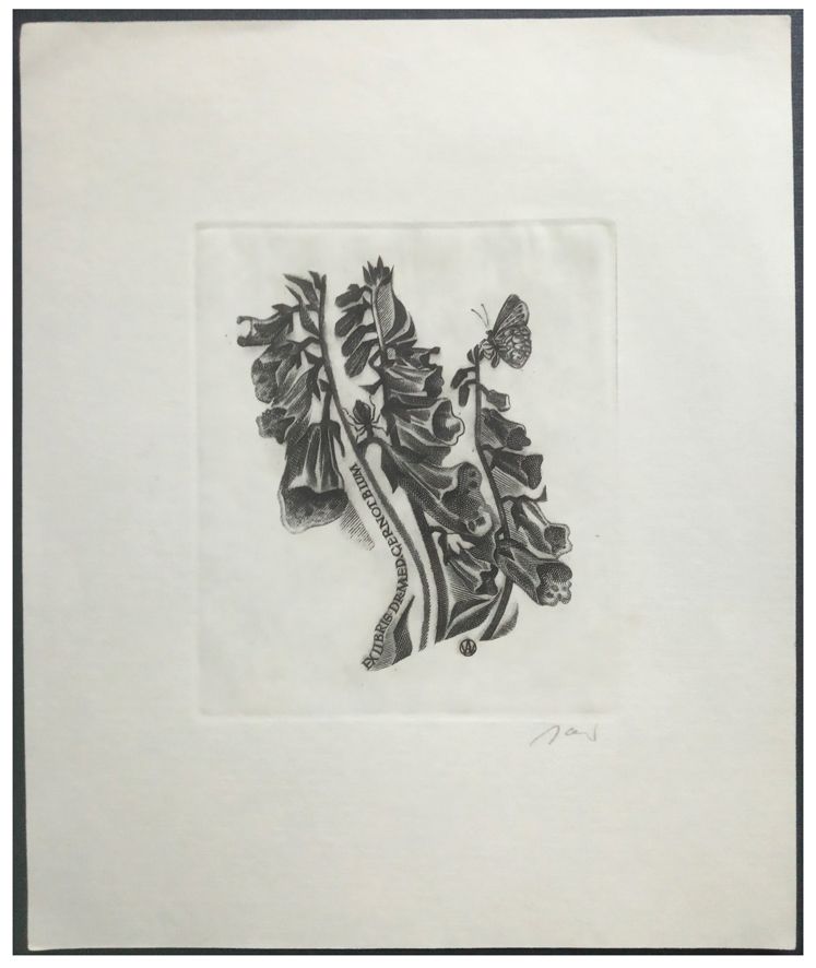 Jakubowski Wojciech (519/1980) Exlibris Gernot Blum (Eb)