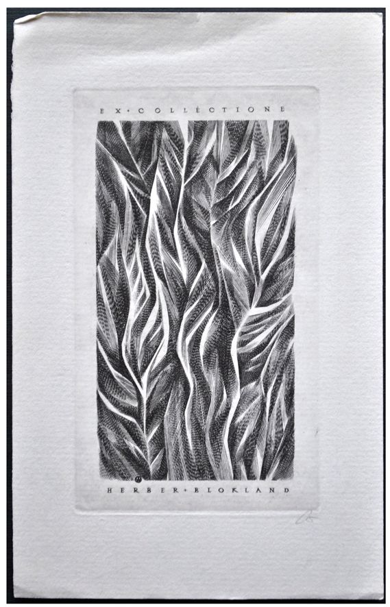 Jakubowski Wojciech (369/1971) Exlibris Herbert Blokland, 102x59, roślina
