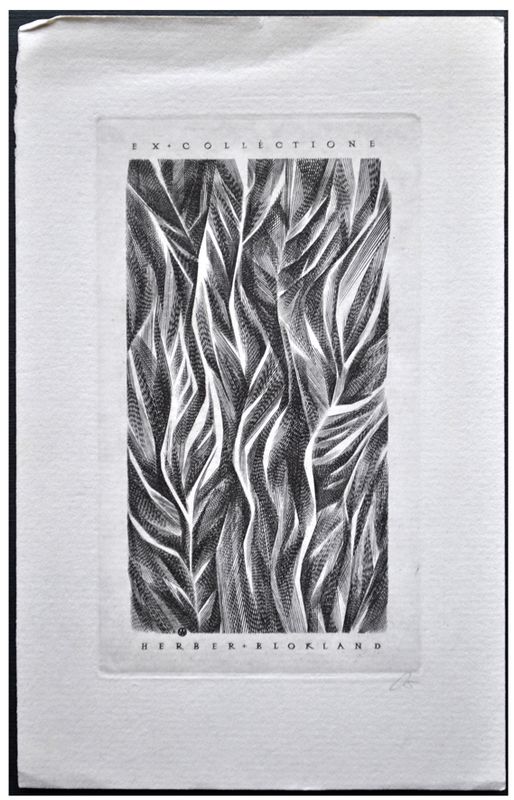 Jakubowski Wojciech (369/1971) Exlibris Herbert Blokland, 102x59, roślina