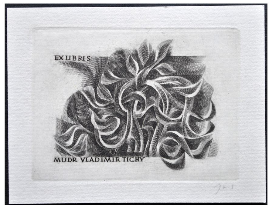 Jakubowski Wojciech (386/1971) Exlibris Mudr. Vladimil Tichy, 54x75