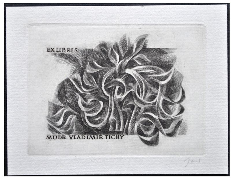 Jakubowski Wojciech (386/1971) Exlibris Mudr. Vladimil Tichy, 54x75