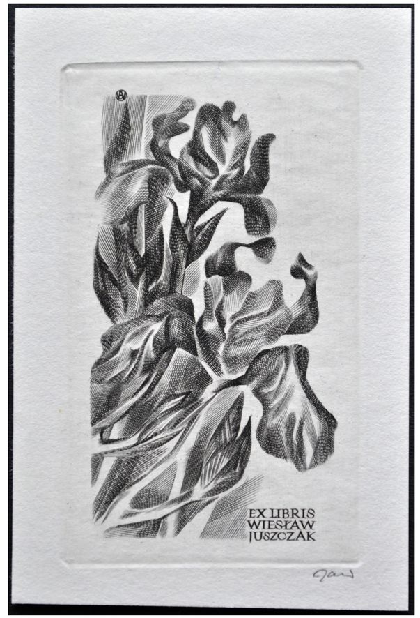 Jakubowski Wojciech (402/1972) Exlibris Wiesław Juszczak, 90x51, irys
