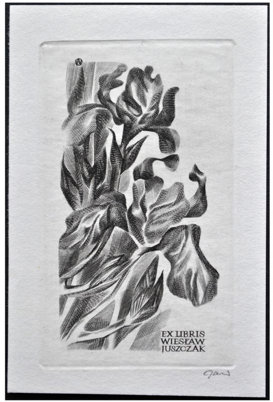 Jakubowski Wojciech (402/1972) Exlibris Wiesław Juszczak, 90x51, irys
