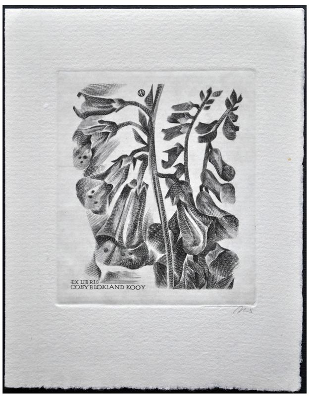 Jakubowski Wojciech (419/1973) Exlibris Coby Blookland Kooy, 69x58