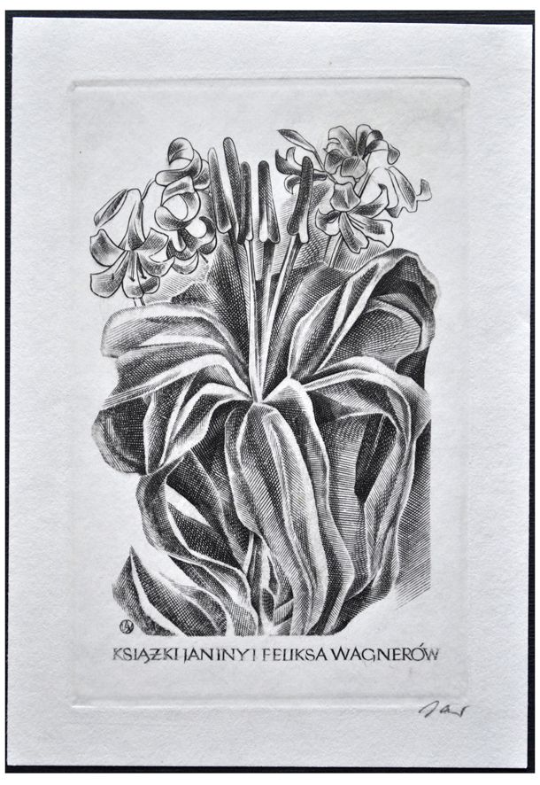 Jakubowski Wojciech (466/1975) Exlibris Janiny i Feliksa Wagnerów, 83x54, lilie