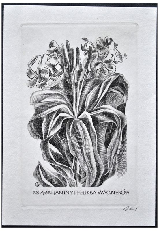 Jakubowski Wojciech (466/1975) Exlibris Janiny i Feliksa Wagnerów, 83x54, lilie