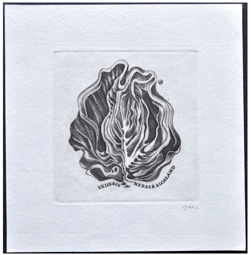 Jakubowski Wojciech (482/1977) Exlibris Herbert Blokland, 65x60, pączek kwiatu