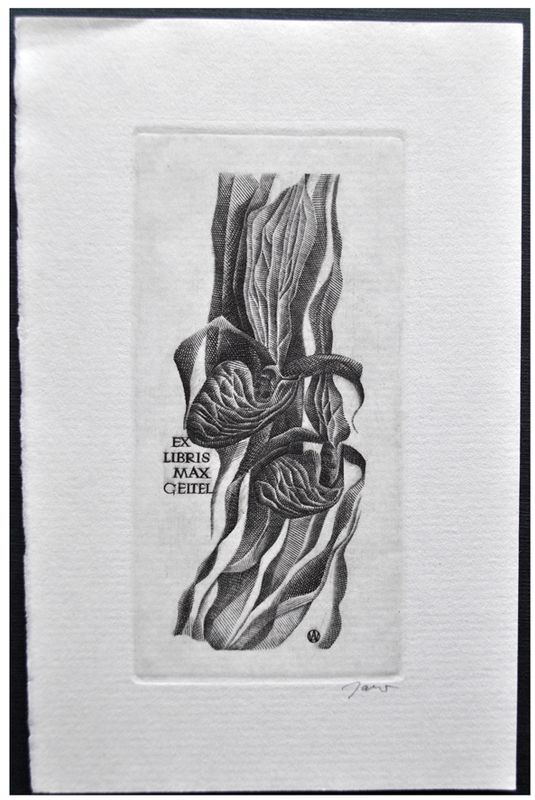 Jakubowski Wojciech (493/1978) Exlibris Max Geitel, 89x45, storczyk