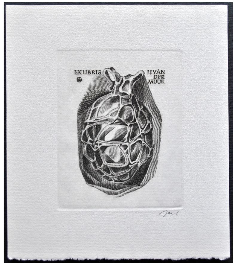 Jakubowski Wojciech (508/1979) Exlibris J.J. van der Muur, 67x53, szklany wazon