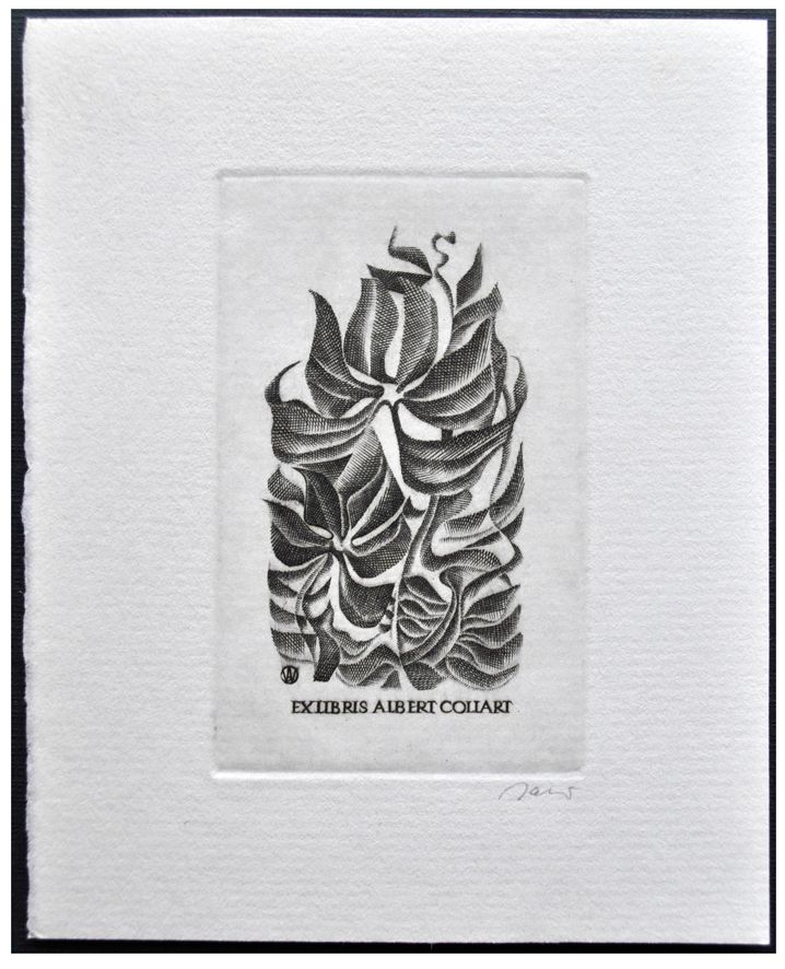 Jakubowski Wojciech (505/1979) Exlibris Albert Collart, 67x43, roślina
