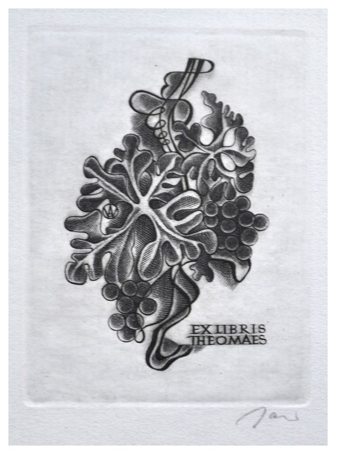 Jakubowski Wojciech (526/1980) Exlibris Theo Maes, 66x50, winogrona