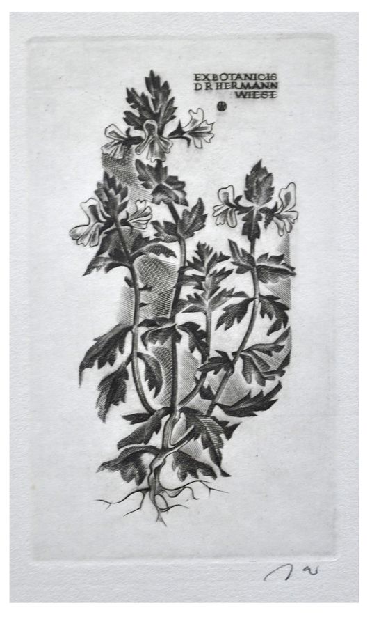 Jakubowski Wojciech (551/1981) Exlibris Dr. Hermann Wiese, 80x44