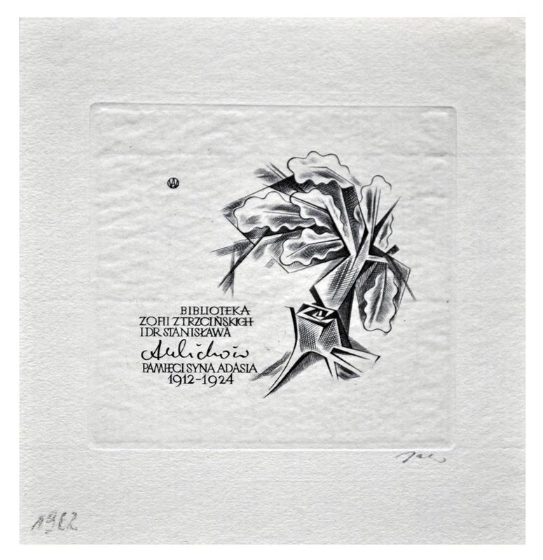 Jakubowski Wojciech (157/1962) Biblioteka Zofii z Trzcińskich i dr Stanisława Aulichów, 60x65, drzewo