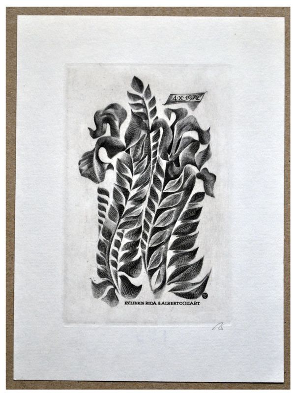 Jakubowski Wojciech (397/1972) Exlibris Rika et Albert Collart, 91x59, irysy
