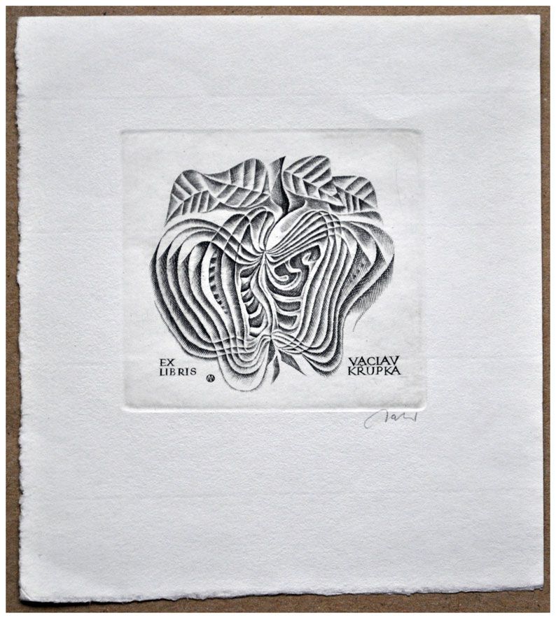 Jakubowski Wojciech (477/1976) Exlibris Vaclav Krupka, 57x60, owoc