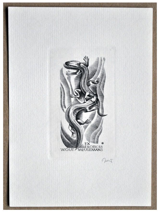 Jakubowski Wojciech (868/2003) Ex eroticis Wout Meulemans, 73x42, jaszczurki
