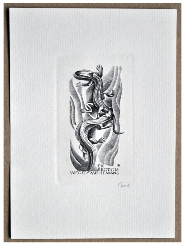 Jakubowski Wojciech (868/2003) Ex eroticis Wout Meulemans, 73x42, jaszczurki