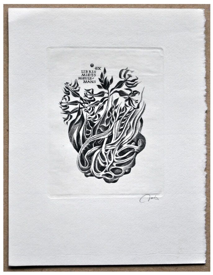 Jakubowski Wojciech (670/1990) Exlibris Miets Meulemans, 67x51, kwiaty polne