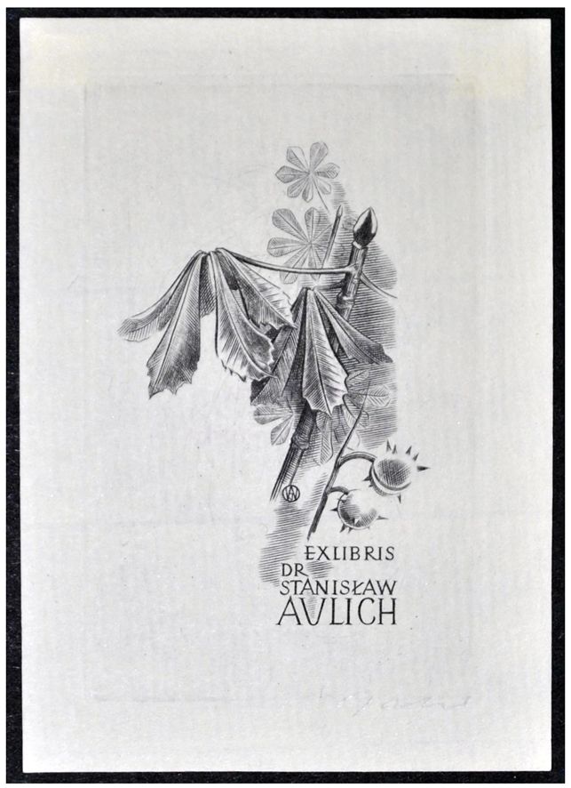Jakubowski Wojciech (113/1960) Exlibris dr Stanisław Aulich, 70x45, kasztanowiec
