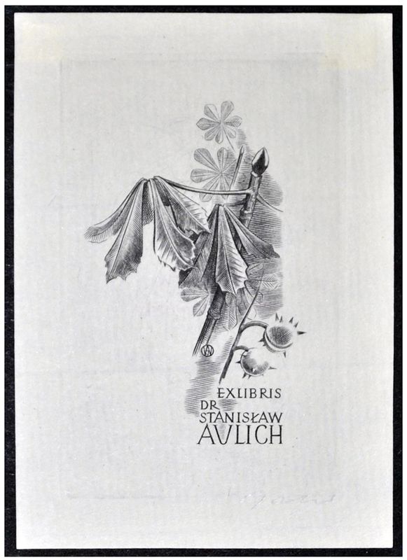 Jakubowski Wojciech (113/1960) Exlibris dr Stanisław Aulich, 70x45, kasztanowiec