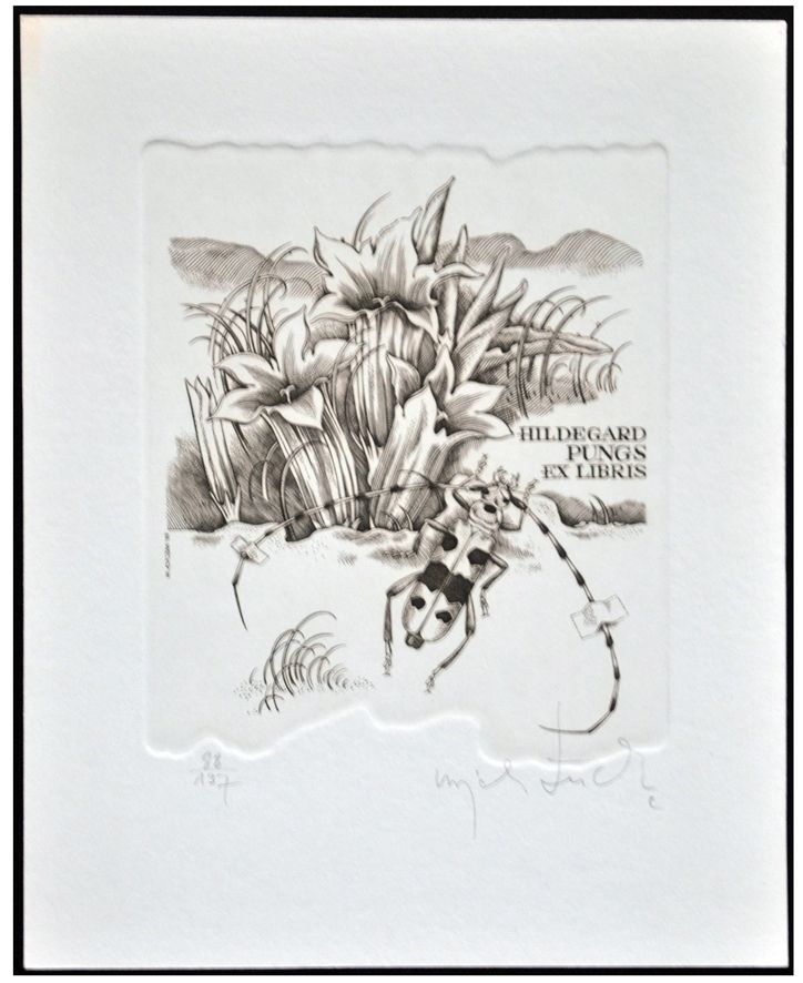 Łuczak Wojciech (11) Exlibris Hildegard Pungs, C2, 1993