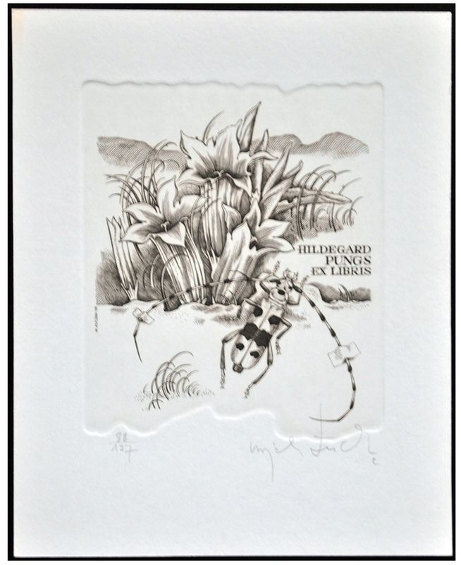 Łuczak Wojciech (11) Exlibris Hildegard Pungs, C2, 1993